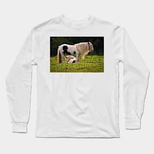 Mother and foal Long Sleeve T-Shirt